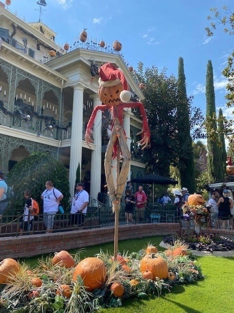 scarecrow with a pumpkin face