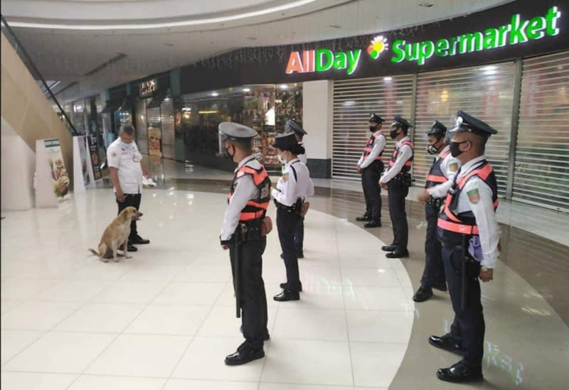 From stray to mall security team, Dogdog has come a long way. — Picture from Facebook/ONE CAVITE