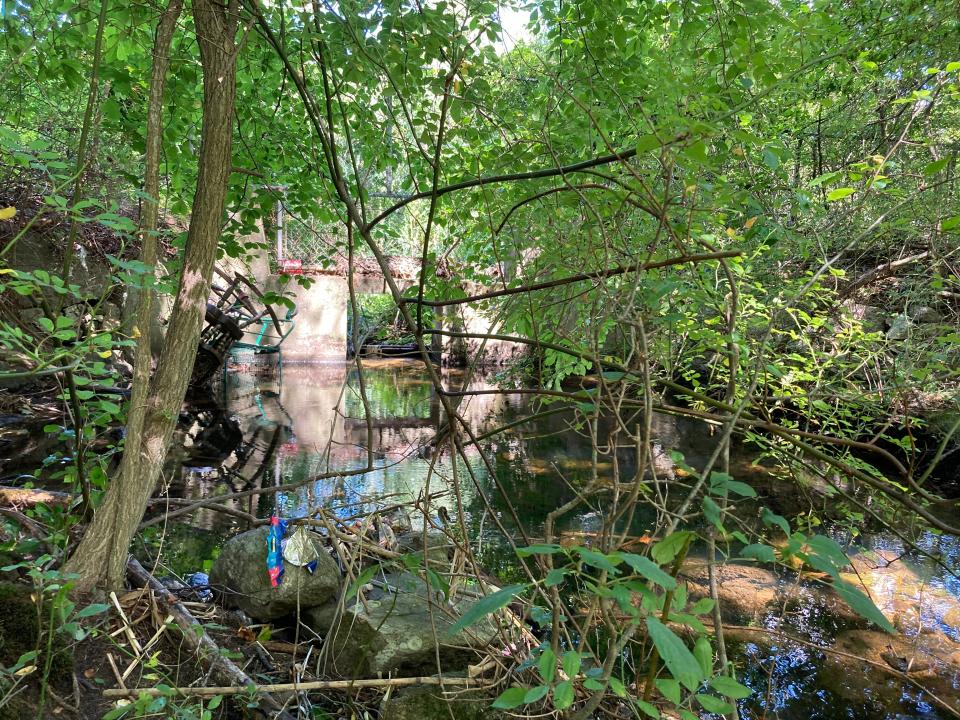 Trash clogs Buttonwood Brook where it begins.