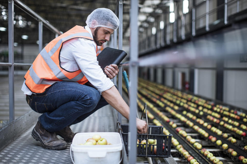 food safety person checking apples