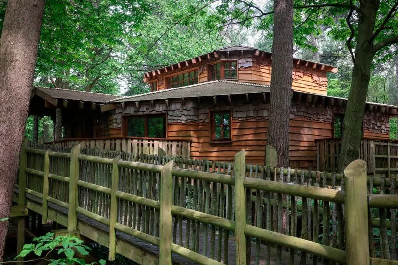 The treehouse accommodation offering at the Center Parcs Sherwood Forest site.