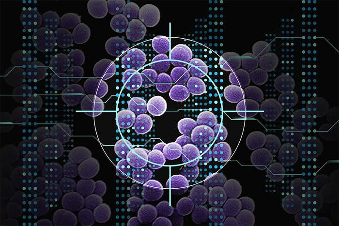 Using a type of artificial intelligence known as deep learning, MIT researchers have discovered a class of compounds that can kill a drug-resistant bacterium that causes more than 10,000 deaths in the United States every year. | Christine Daniloff, MIT; Janice Haney Carr, CDC; iStock