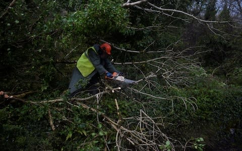  Worker clears fallen trees off road during Storm Ophelia in Burren - Credit: CLODAGH KILCOYNE/ REUTERS