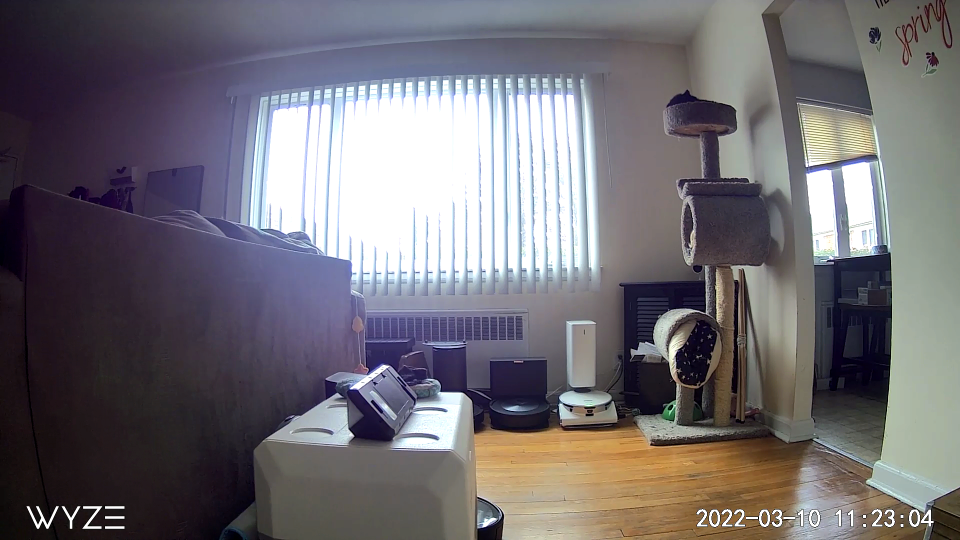 Wyze Cam V3 screenshot in app.