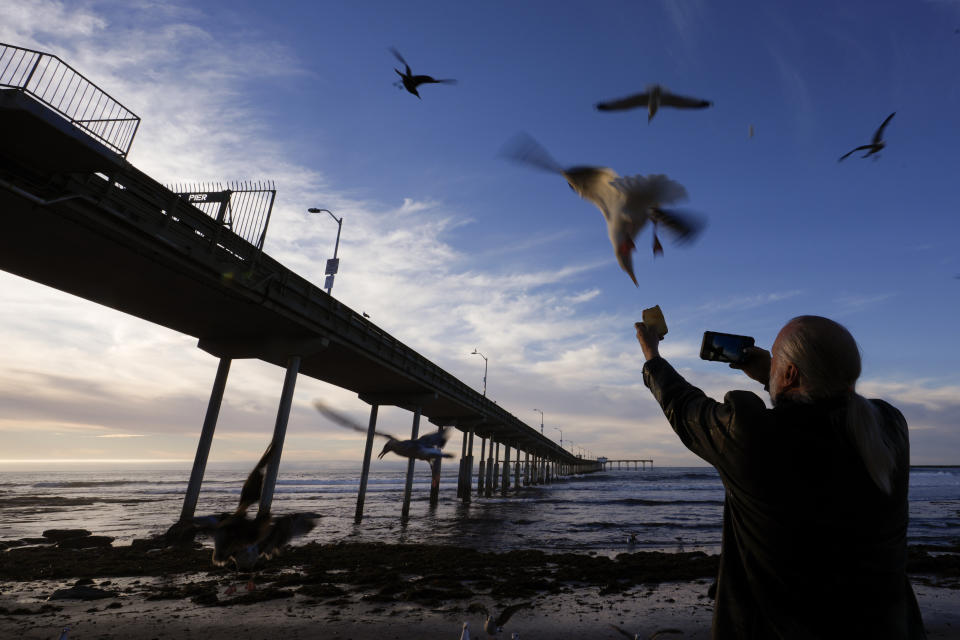 Art Harrall holds a slice of bread up as he makes an image of the Ocean Beach Pier and seagulls with his phone, Tuesday, Jan. 30, 2024, in San Diego. Harrall spends many evenings framing the area's notoriusly beautiful sunsets as a backdrop for the Ocean Beach Pier. Rising seas, frequent storms take toll on California's iconic piers, threatening beach landmarks. (AP Photo/Gregory Bull)