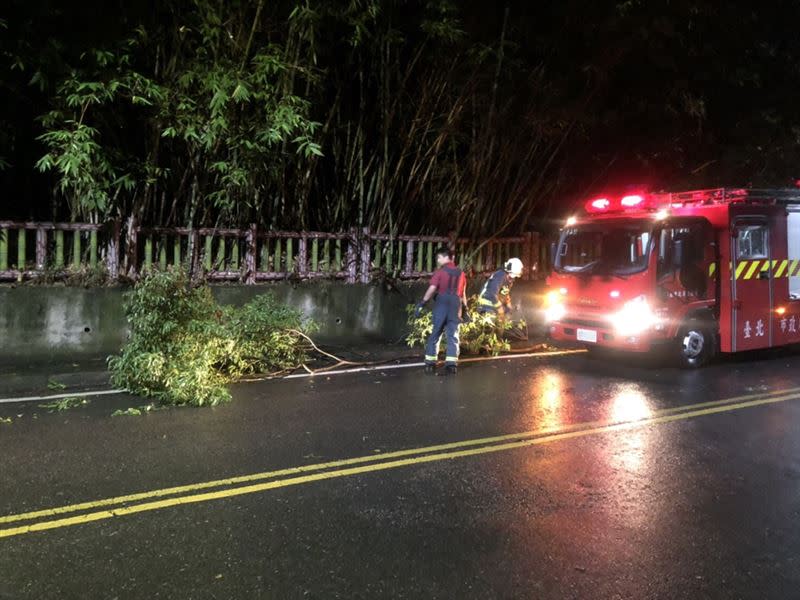 由於路樹體積龐大占據馬路，警消獲報後立即將路樹清除。（圖／翻攝畫面）