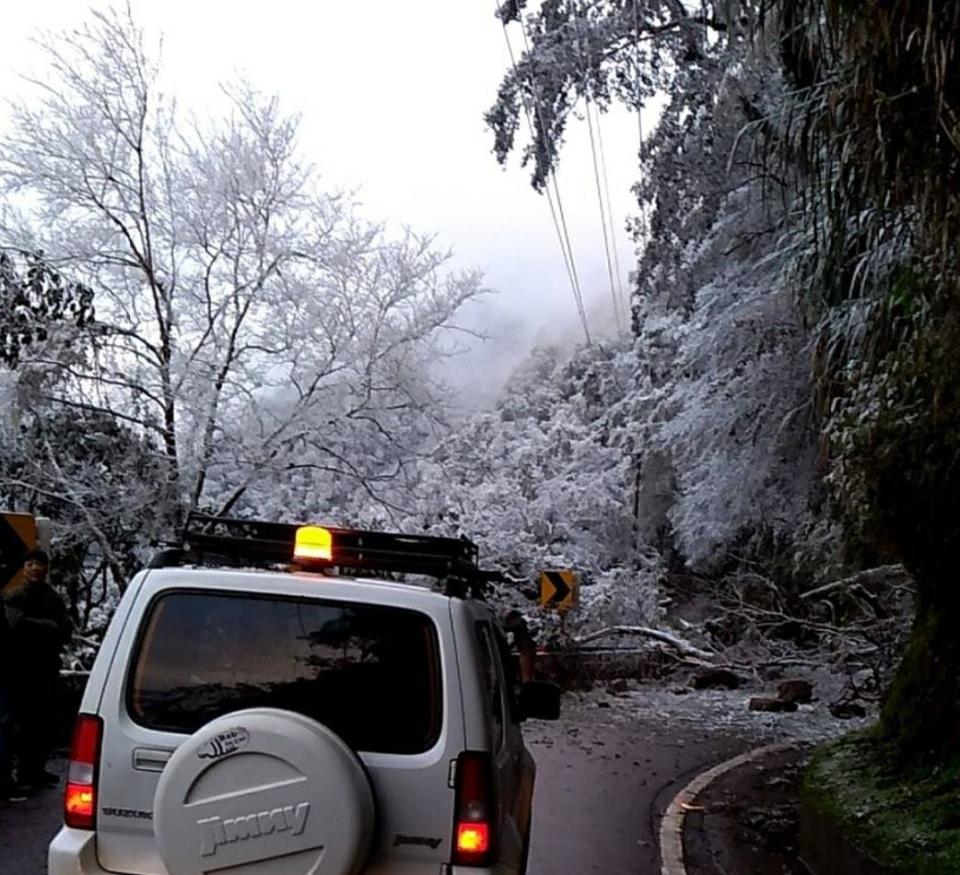 因為下雪，導致台20線156.5公里處，山坡樹木倒塌阻路。（圖／翻攝自臺東縣警察局關山分局臉書）