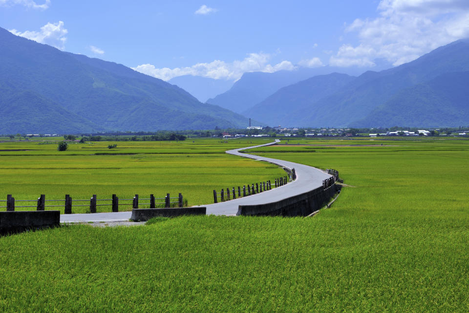 台東池上伯朗大道（圖片來源：getty creative）