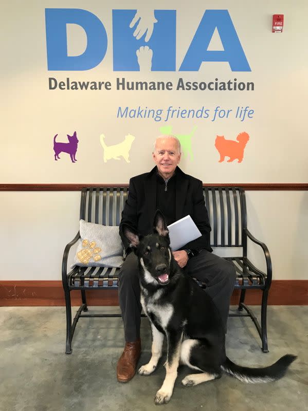 Joe Biden poses with his new rescue dog Major in Wilmington