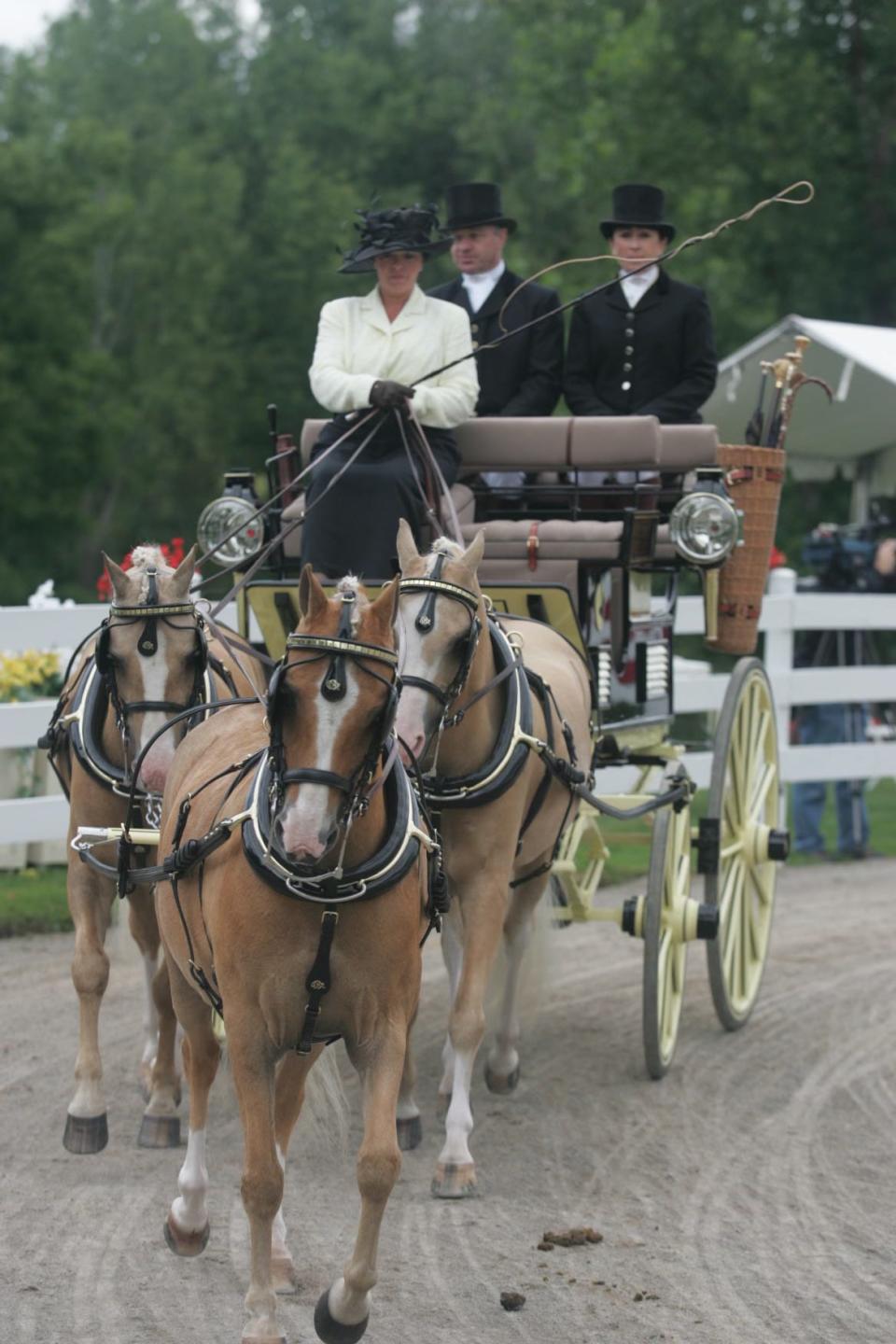 Nicole Cable is seen driving. She will host individual lessons at Wade House this May.