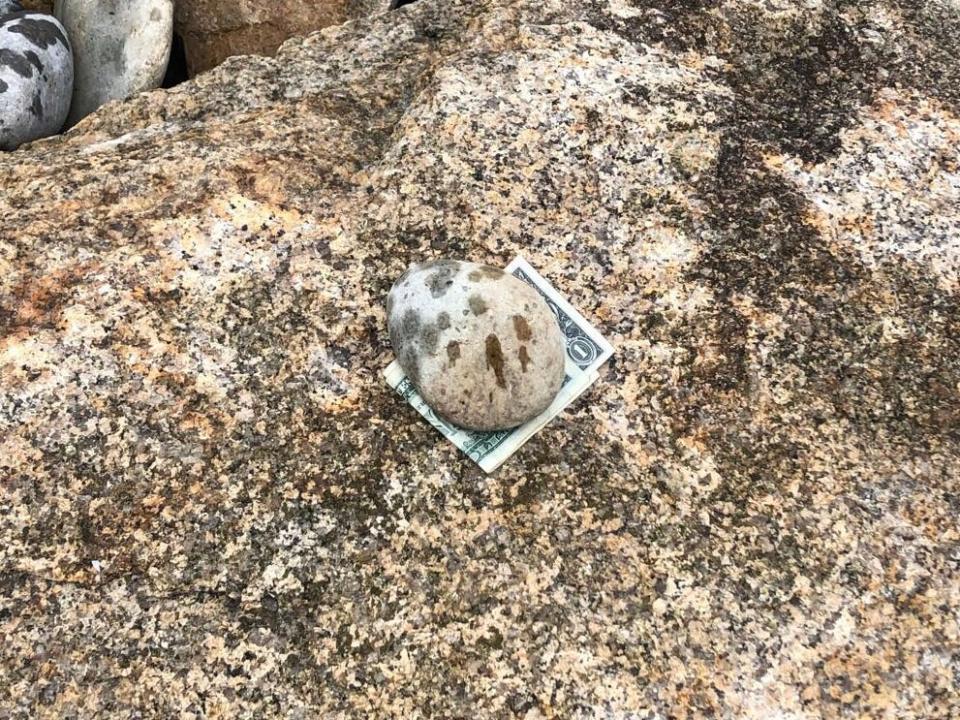 A dollar sitting on a rock at the beach