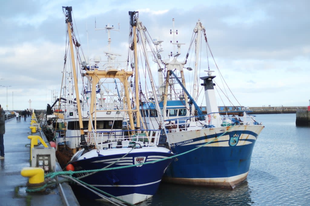 Fishing industry leaders have met the Russian Ambassador in Dublin (PA) (PA Archive)