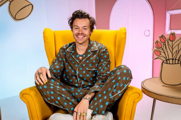 Harry Styles (Photo: BBC)