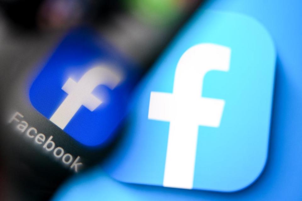 TSB says it is ‘deeply concerned by the high levels of fraud from tech companies and Meta-owned social media sites’ such as Facebook (AFP via Getty Images)