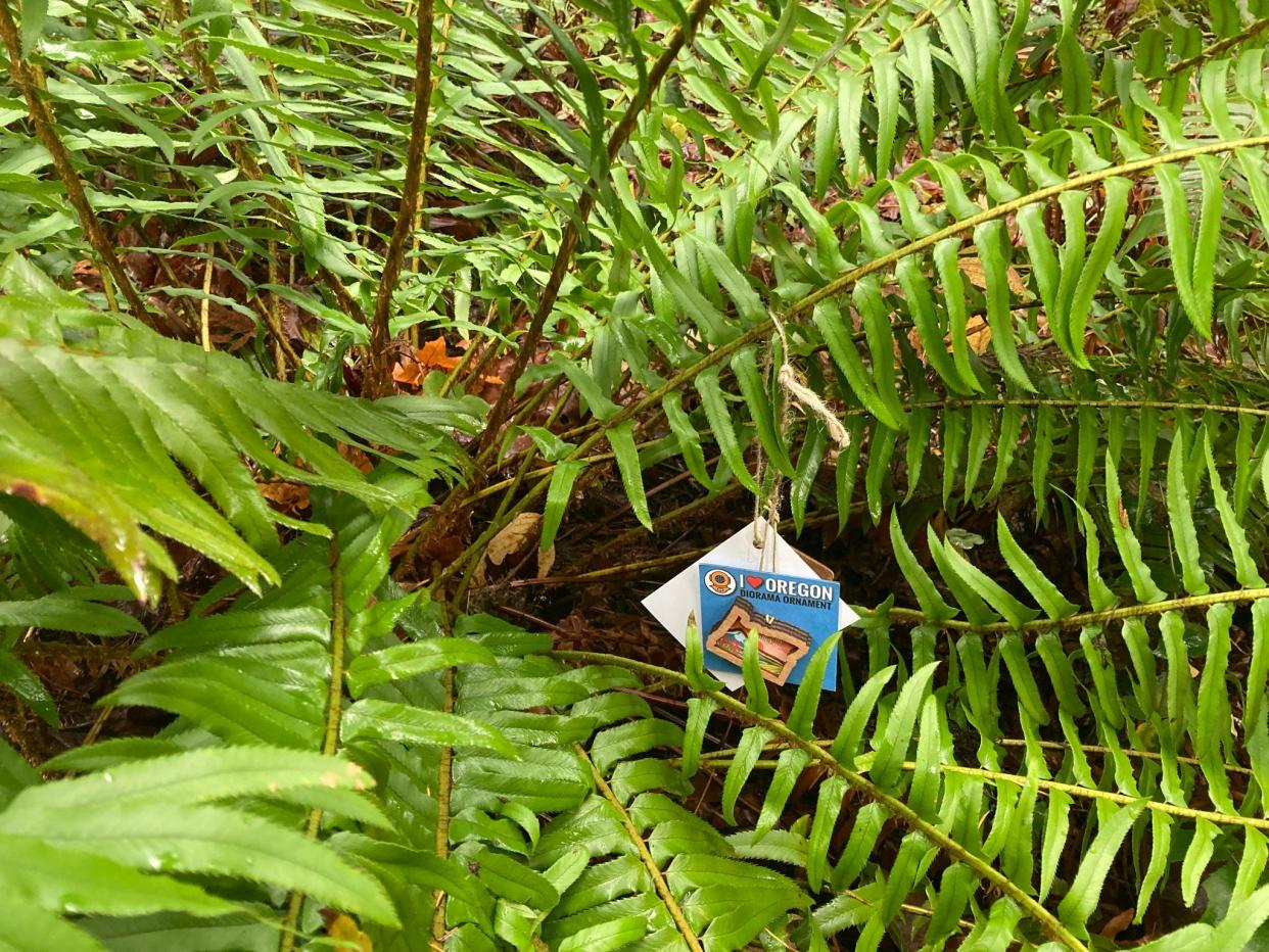 Two hundred ornaments have been hidden on Oregon national forest trails.