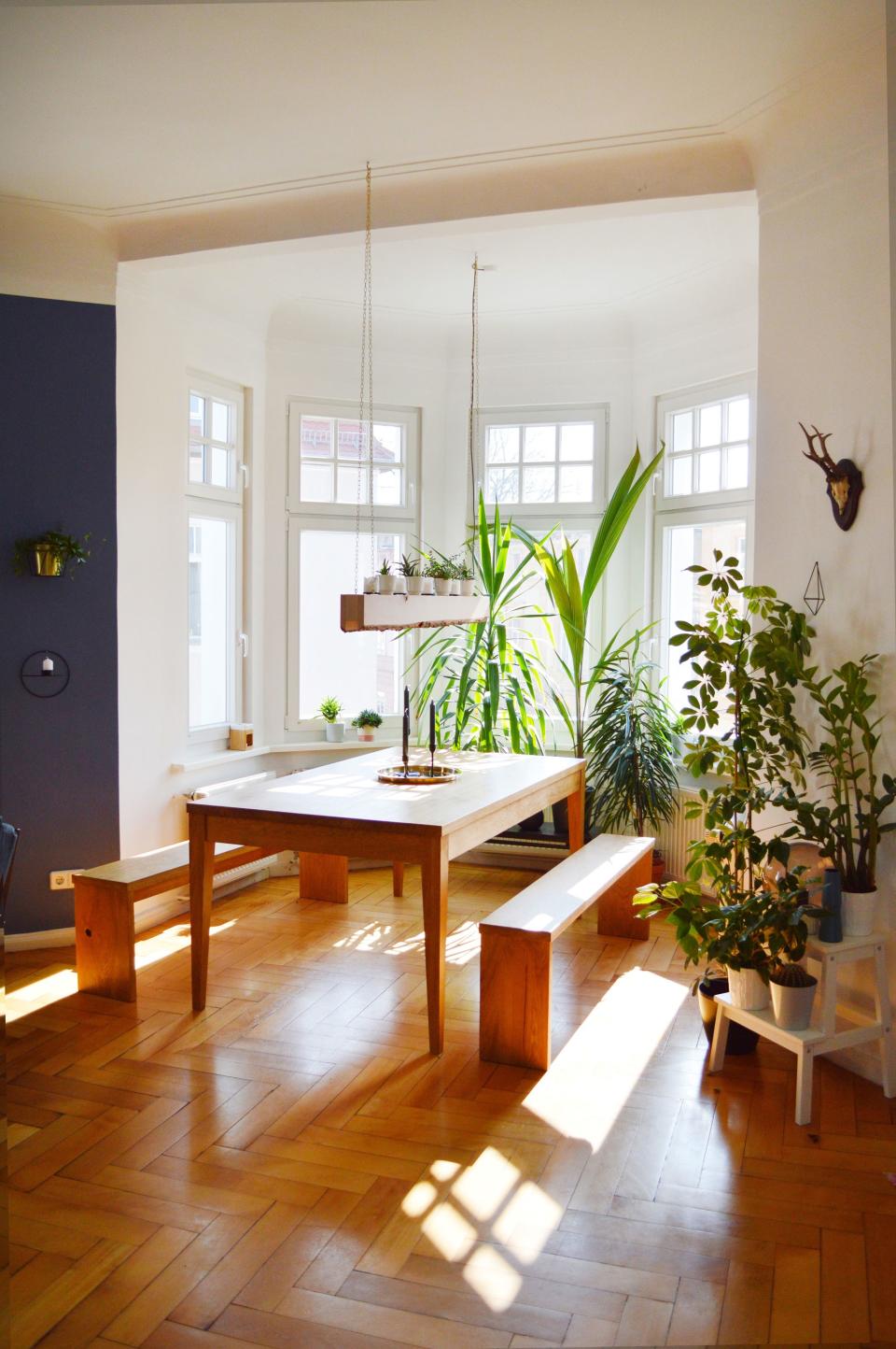 A handcrafted touch: The dining nook in particular is a showcase of Julius's handiwork; the solid wood table, benches, rectangular pendant light are all his creations. "We are saving a lot of money by building our own furniture," says Jessica. "Or I should say, my talented boyfriend turns my ideas into reality." A jungle's worth of plants lines the perimeter: "I wanted that corner to look a bit like the old winter gardens with big green plants that you see, for example, in old English buildings." And let's not forget Jessica's illustrations—a cluster of framed works hang in the living room.