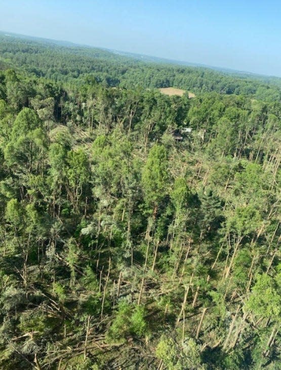 All 5,700 acres in Mohican State Forest were impacted by the June windstorm.