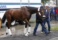 Kentucky Derby and Preakness Stakes winner American Pharoah arrives with trainer Bob Baffert (R) at Belmont Park in Elmont, New York June 2, 2015. REUTERS/Shannon Stapleton