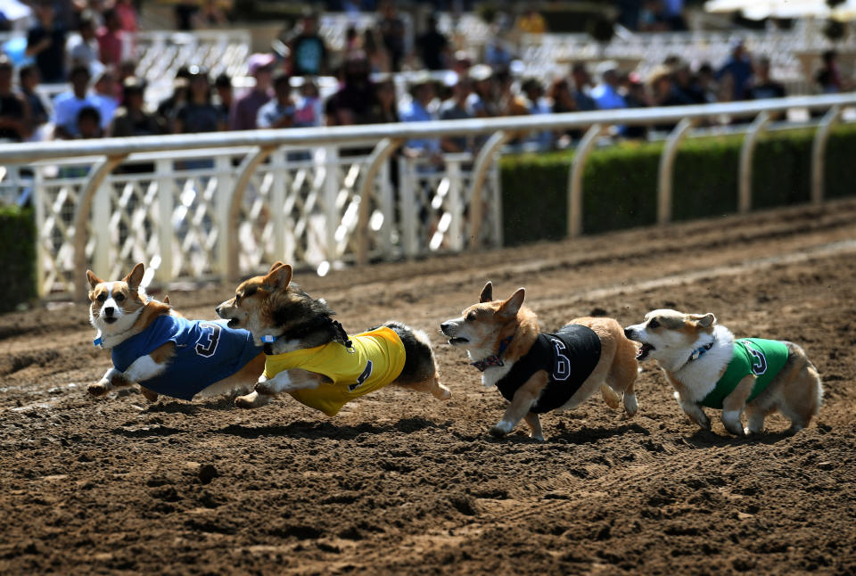 (Photo: MARK RALSTON via Getty Images)