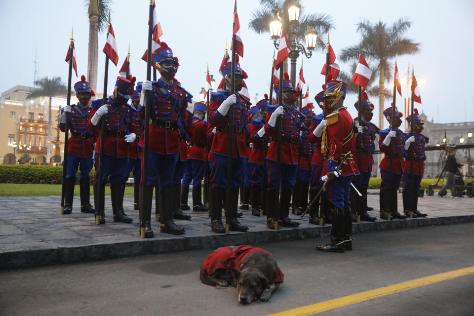 A dog accompanies the presidential honor guard outside the government palace and presidential residence, the House of Pizarro, on the Inauguration Day of President-elect Pedro Castillo in Lima, Peru, early Wednesday, July 28, 2021. (AP Photo/Guadalupe Pardo)