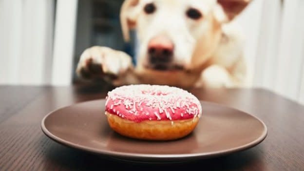 Una rosquilla