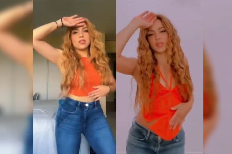 Shakira se sorprendió al conocer a su doble en redes sociales (Captura video)