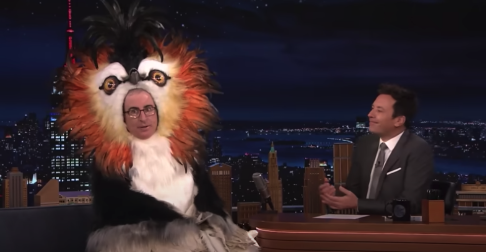 Oliver dons pūteketeke plumage for a campaign stop on The Tonight Show Starring Jimmy Fallon. 