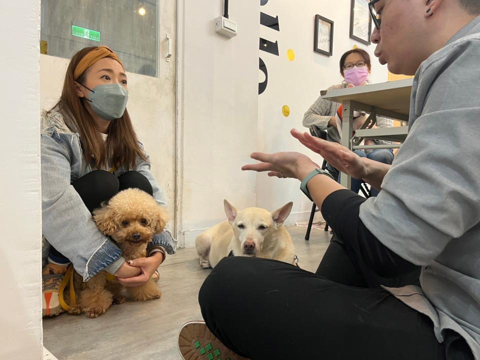 飼主會帶毛孩們一起來上課。圖片來源：菜鳥寵物員H提供