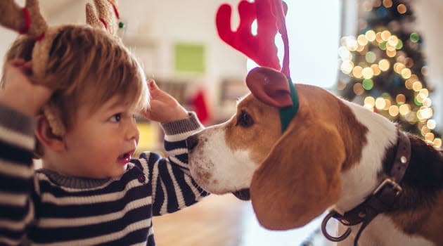 Moms, Pets Top Holiday Gift Lists