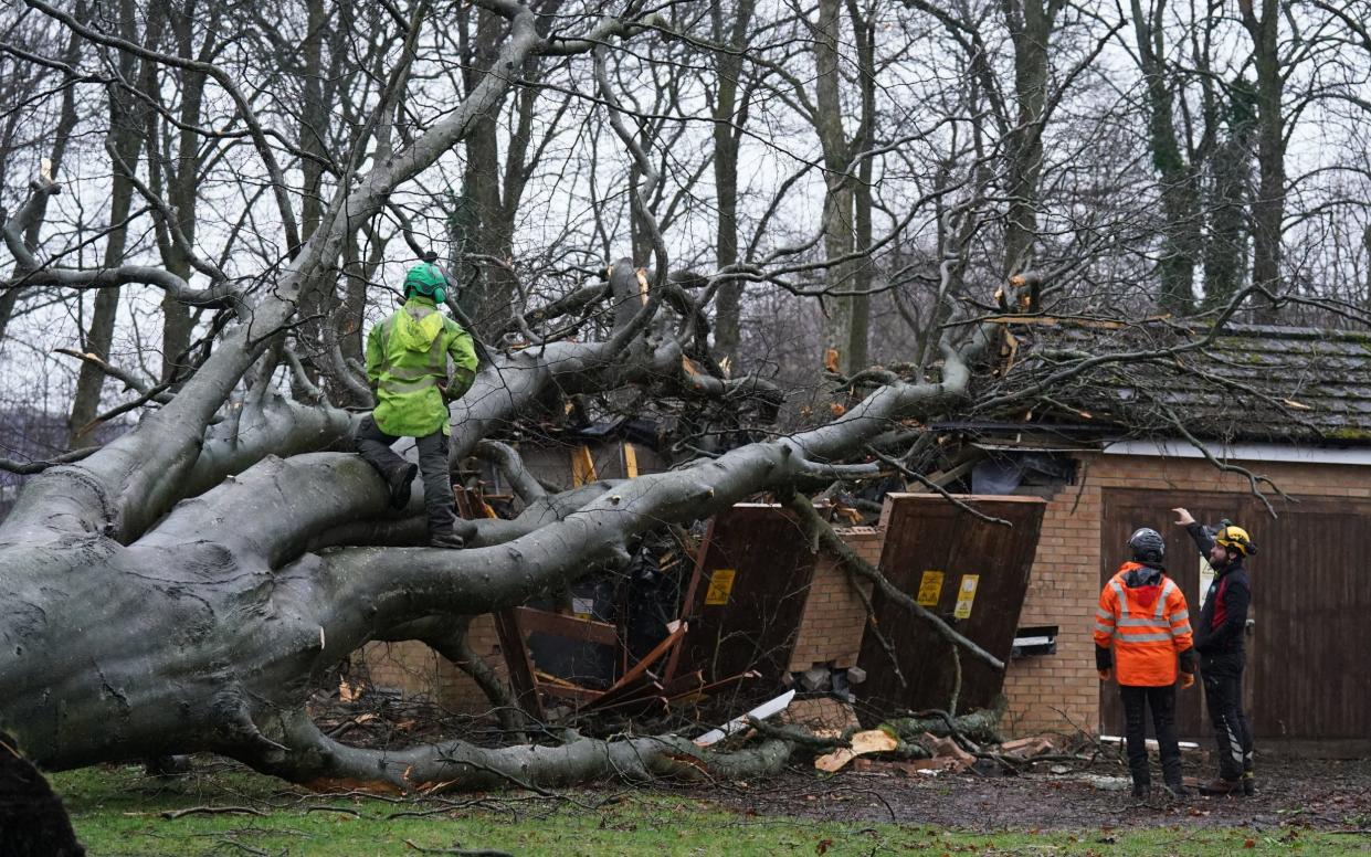 Workers remove a tree that fell on an electricity substation on the Kinnaird estate in Larbert during Storm Isha on Sunday.