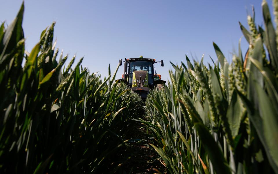 Farming - © 2016 Bloomberg Finance LP