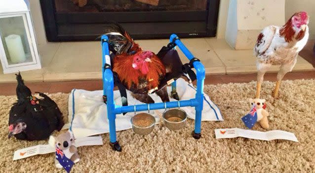 An anonymous Good Samaritan sent the chair from Australia. Source: Facebook/ Funky Chicken