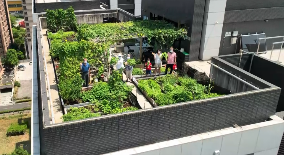 淡水「川普寬庭社區」屋頂設置屋頂農場、水生植物池，隔熱降溫。   圖：新北市環保局提供