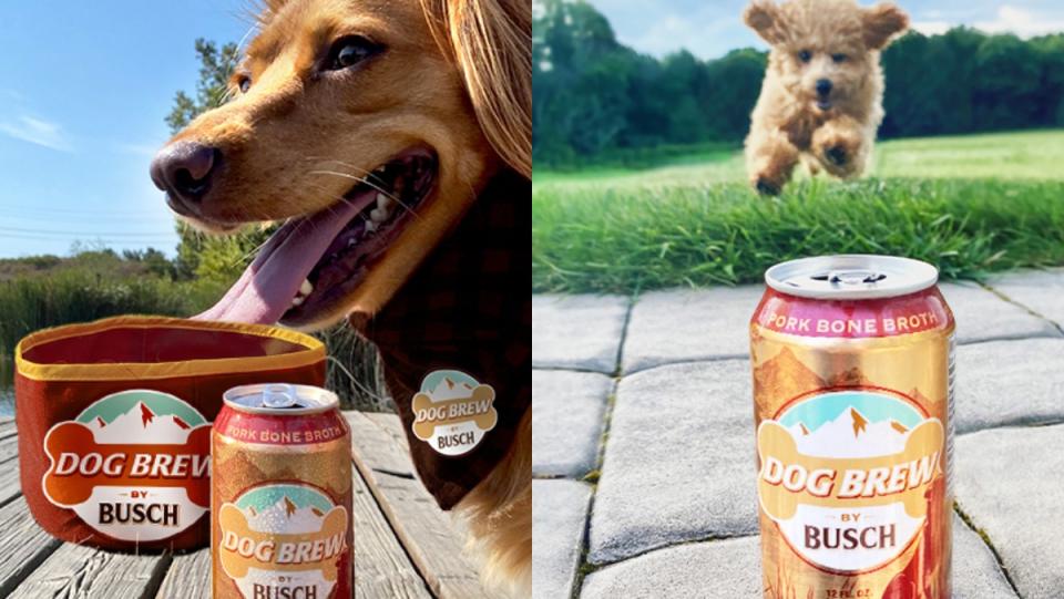 Busch's dog beer, Dog Brew, with two happy dogs