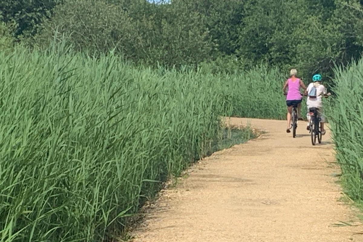 The new cycle path at Afton Marsh <i>(Image: Tim Cooper)</i>