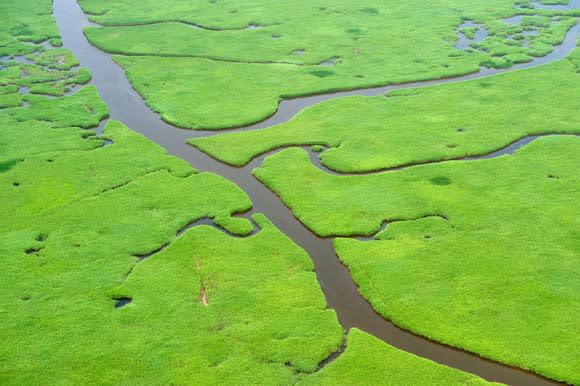 Here's an aerial view of a wetland