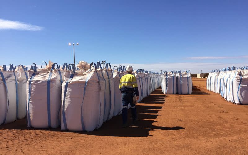 FILE PHOTO: Brazil joins race to loosen China's grip on rare earths industry