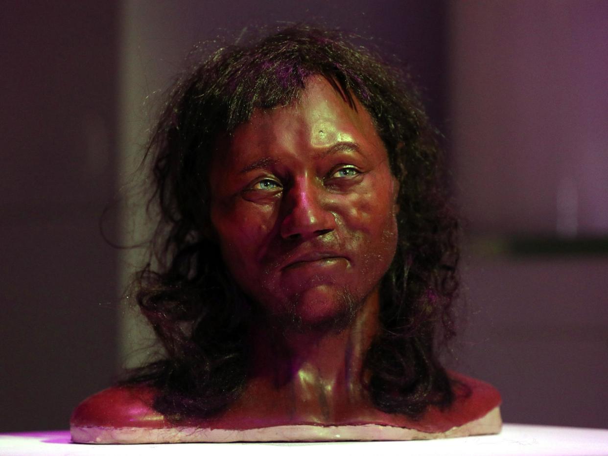 Cheddar Man is just the most recent example that ancestry does not equal biological destiny: PA