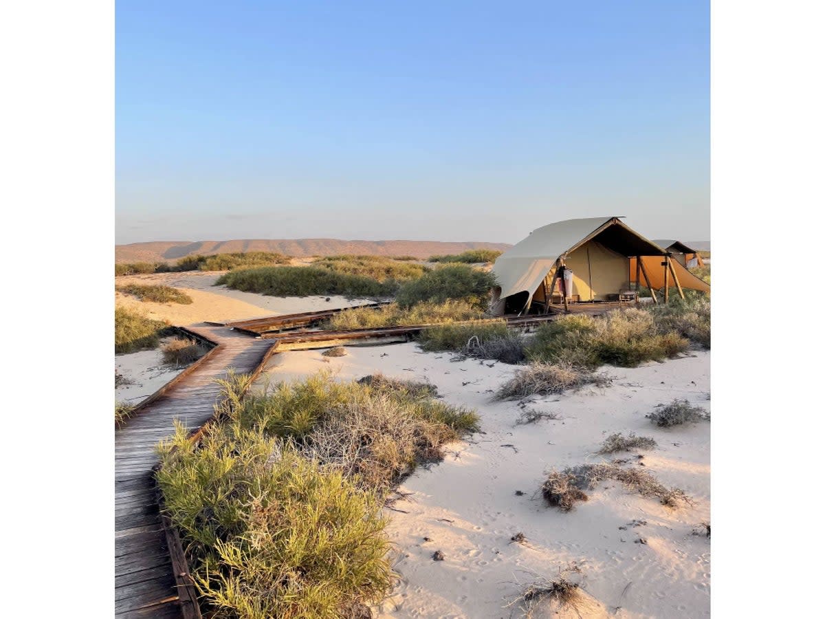 Eco-camp Sal Salis boasts tents hidden in the dunes complete with ensuite bathrooms (Fiona McIntosh)