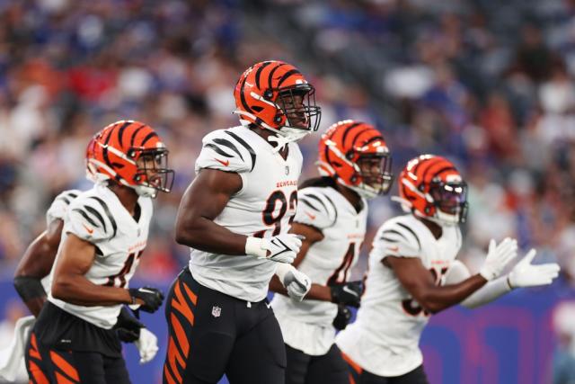 Cincinnati Bengals wide receiver Tyler Boyd (83) celebrates a touchdown  reception during the second half of an NFL football game against the  Pittsburgh Steelers, Sunday, Sept. 11, 2022, in Cincinnati. (AP Photo/Joshua