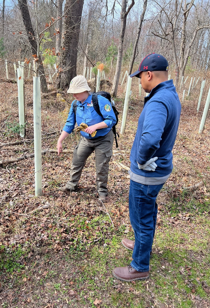 At left, Annie O’Grady, a program officer with the Maryland Conservation Corps with the corps patch on her left sleeve, points out a tree tube around an infant oak tree to Maryland Secretary of Service and Civic Innovation Paul Monteiro in Annapolis, on March 12, 2024.