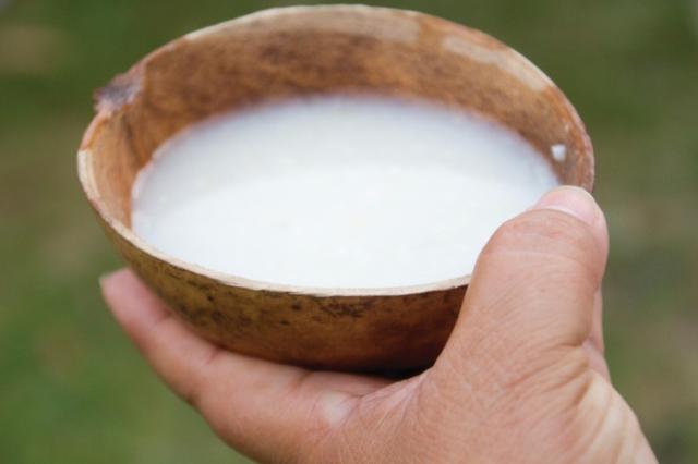 SabuesoGourmet: Mitos del pulque: ¡No todo es viscoso! ¡No se hace con  excremento!