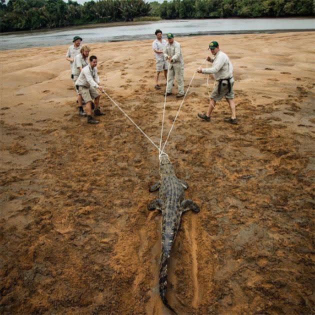 The family are at the Steve Irwin Wildlife Reserve. Source: Instagram