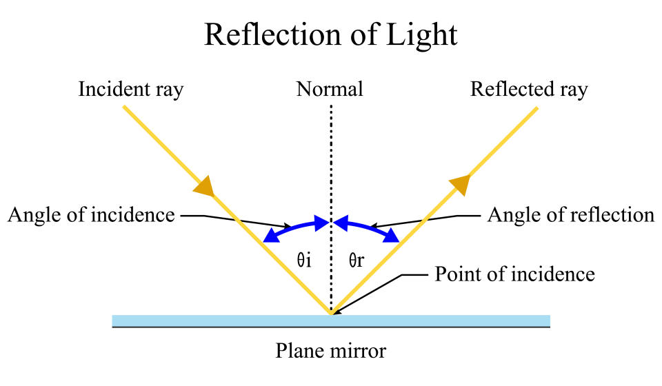 A diagram of how light reflects from a mirror.