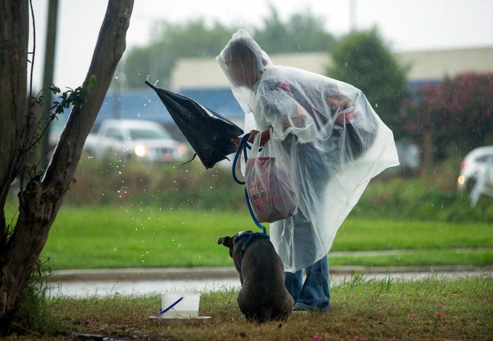 <p>A man and his dog pack up their belongings from the neutral ground on Poland Ave. as they take shelter from the first wave of rain to hit New Orleans as Tropical Storm Cindy heads toward Louisiana on Tuesday, June 20, 2017. (Photo: Chris Granger/NOLA.com The Times-Picayune via AP) </p>