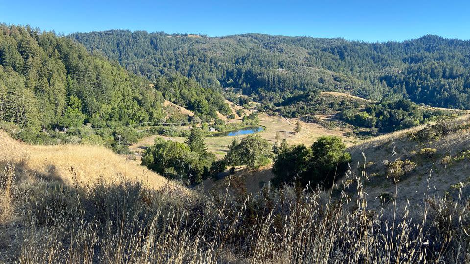 TPL stopped irrigating the course and planted native species, returning the area to its natural state. - Trust for Public Land