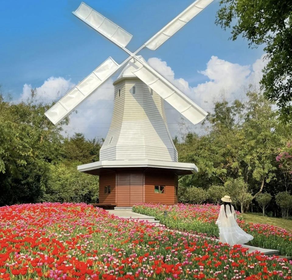 Great place to go in the north ｜Dongguan two-day gourmet tour buy one get one free!Starting from $134 per person, self-service vegetarian health banquet / tour to Dutch Windmill Flower Village / House -Tea Horse Road Museum