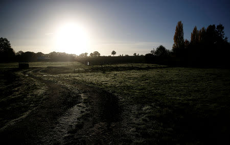 A view shows a field in Villiers-Charlemagne, near Laval, France, November 8, 2018. Picture taken November 8, 2018. REUTERS/Stephane Mahe