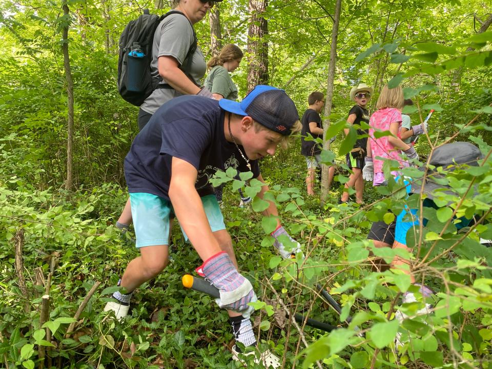 Jonah Epstein, 12, lops off a honeysuckle plant Thursday as part of a Missouri River Relief summer camp project near Flat Branch Park in downtown Columbia.
