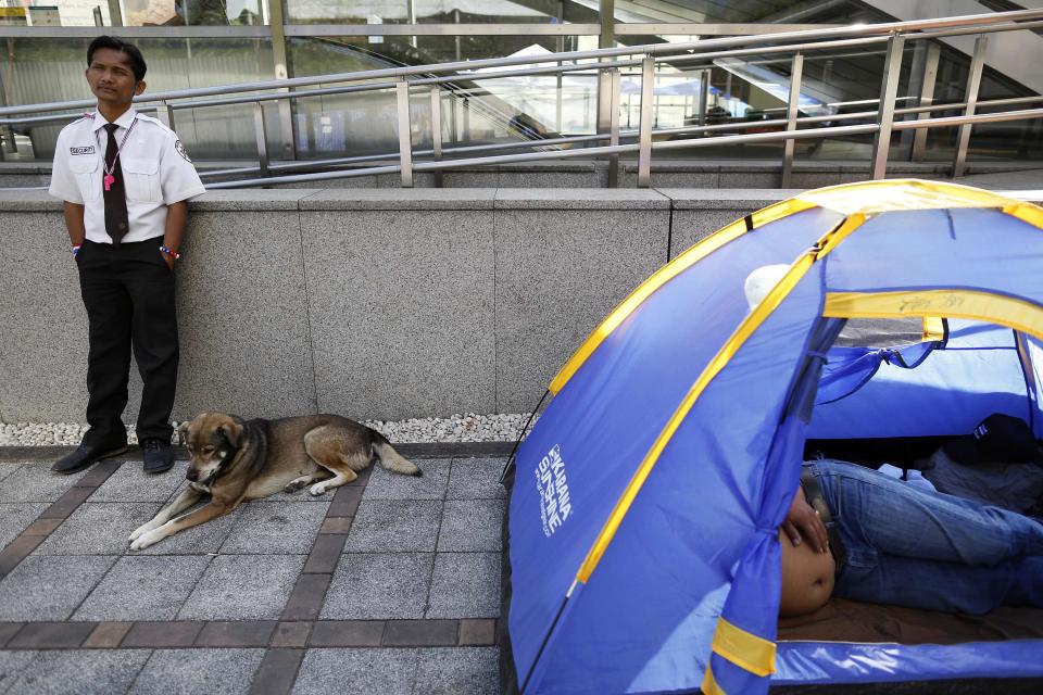 A security officer and a dog rest behind a tent where an anti-government protester sleeps in central Bangkok